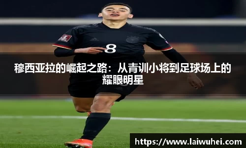 OE欧亿